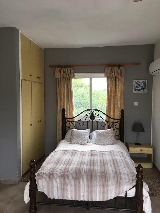 Detached Cozy Studio باراليمني المظهر الخارجي الصورة