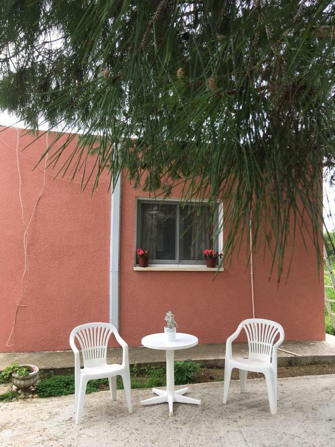 Detached Cozy Studio باراليمني المظهر الخارجي الصورة