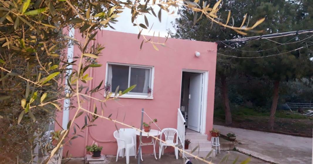 Detached Cozy Studio باراليمني المظهر الخارجي الصورة